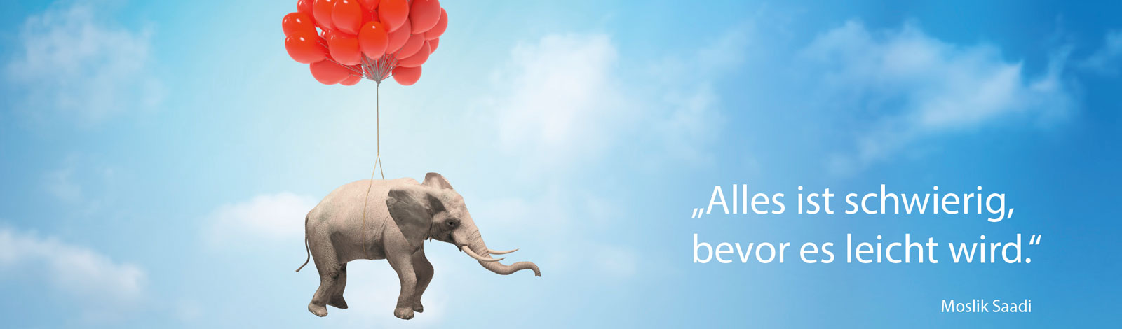 endfold.slider.elefant